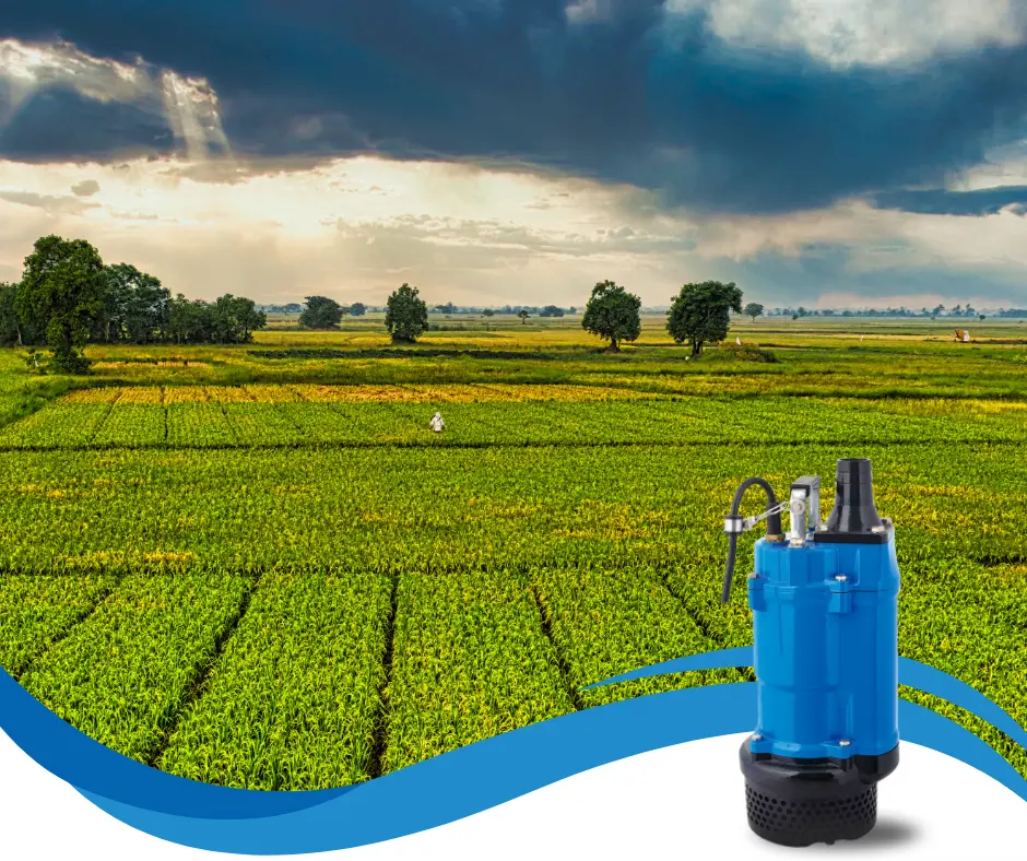 The Power of Submersible Pumps in Sri Lanka: A Guide for Industries and Agriculture